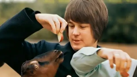 Brian Wilson, líder dos Beach Boys, morre aos 82 anos