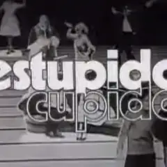 Estúpido Cupido (Novela)