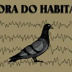 Fora do Habitat