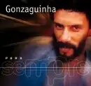 Para Sempre: Gonzaguinha