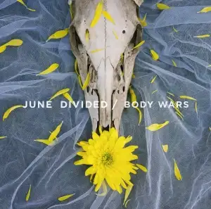 Body Wars