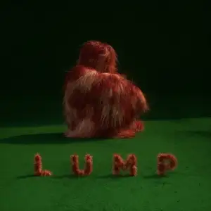 Lump