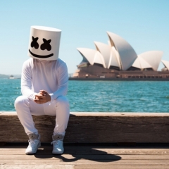 Alone tradu o Marshmello DJ VAGALUME