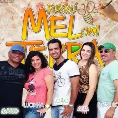 Mel com Terra