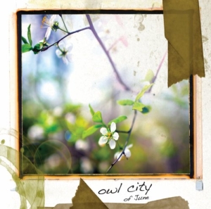 owl city dear vienna lyrics