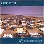 A Momentary Lapse of Reason