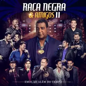 Raça Negra & Amigos ll