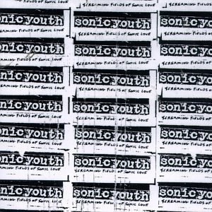 Sonic Youth - Tunic (Song For Karen): ouvir música com letra