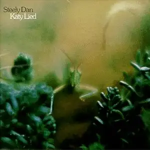 Katy Lied