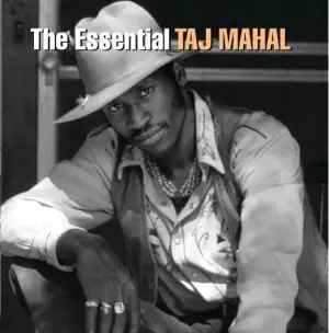 Essential Taj Mahal