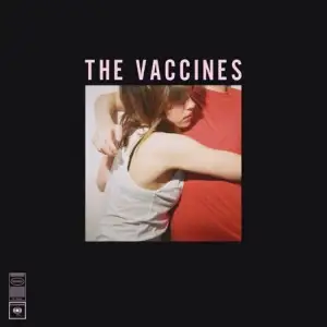 What Did You Expect From The Vaccines?