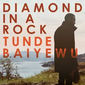 Diamond in a Rock